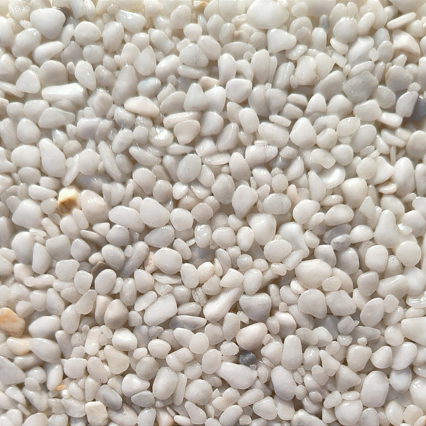 Kamenný koberec RB Stone - Bianco Carrara 4-7 mm